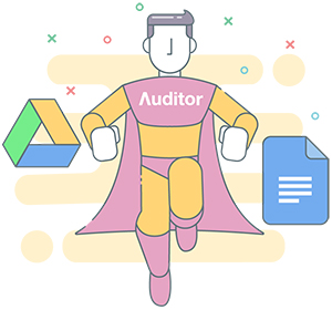 Auditor